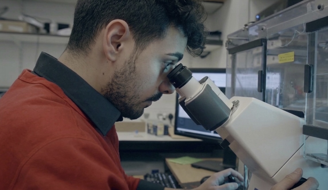 Francesco G. Barone looking through a microscope in the lab